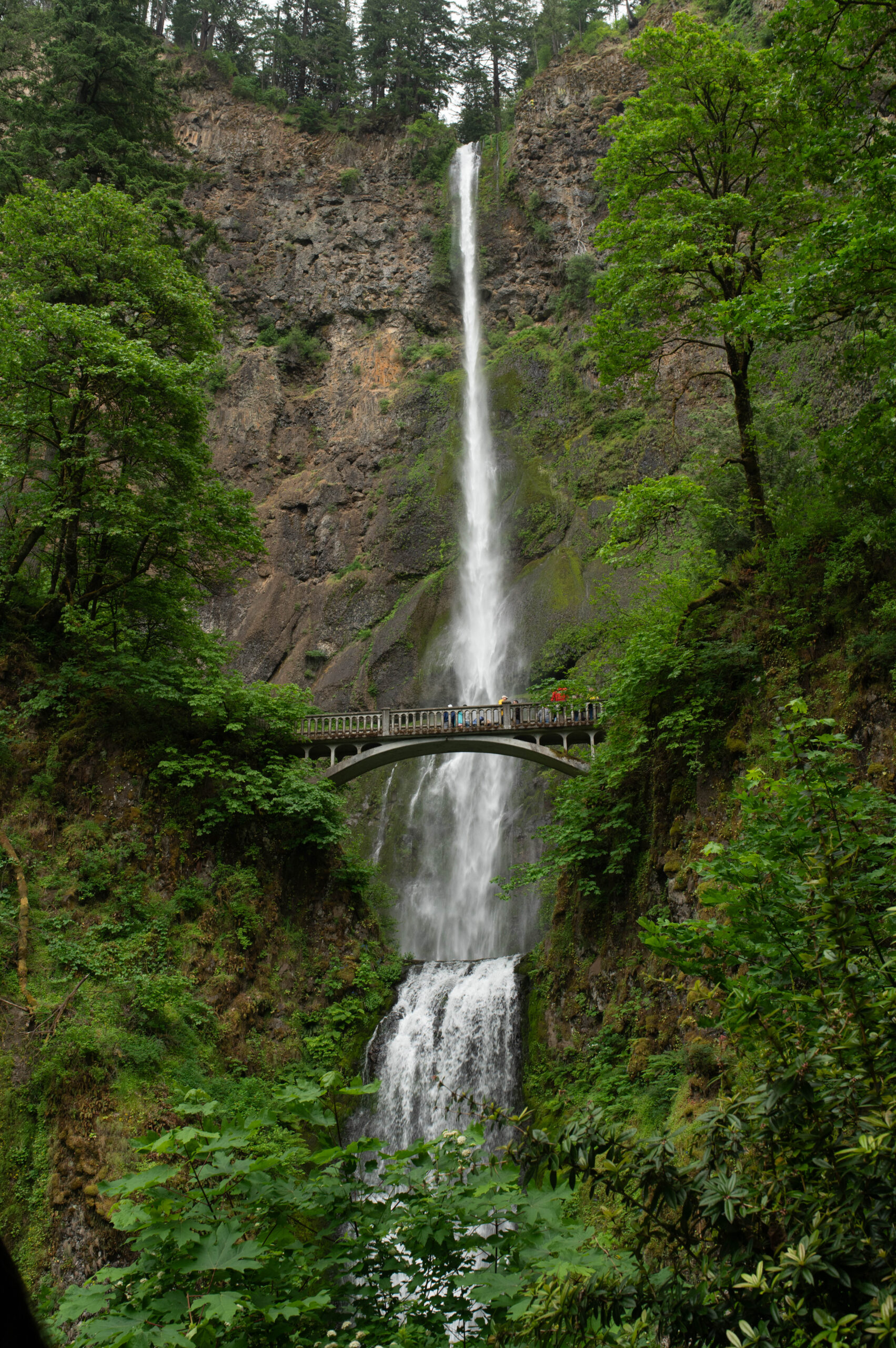 Multnomah Falls in the Columbia River Gorge Oregon with a two-tier waterfall dropping through lush green forest and a white stone arch bridge visible partway up