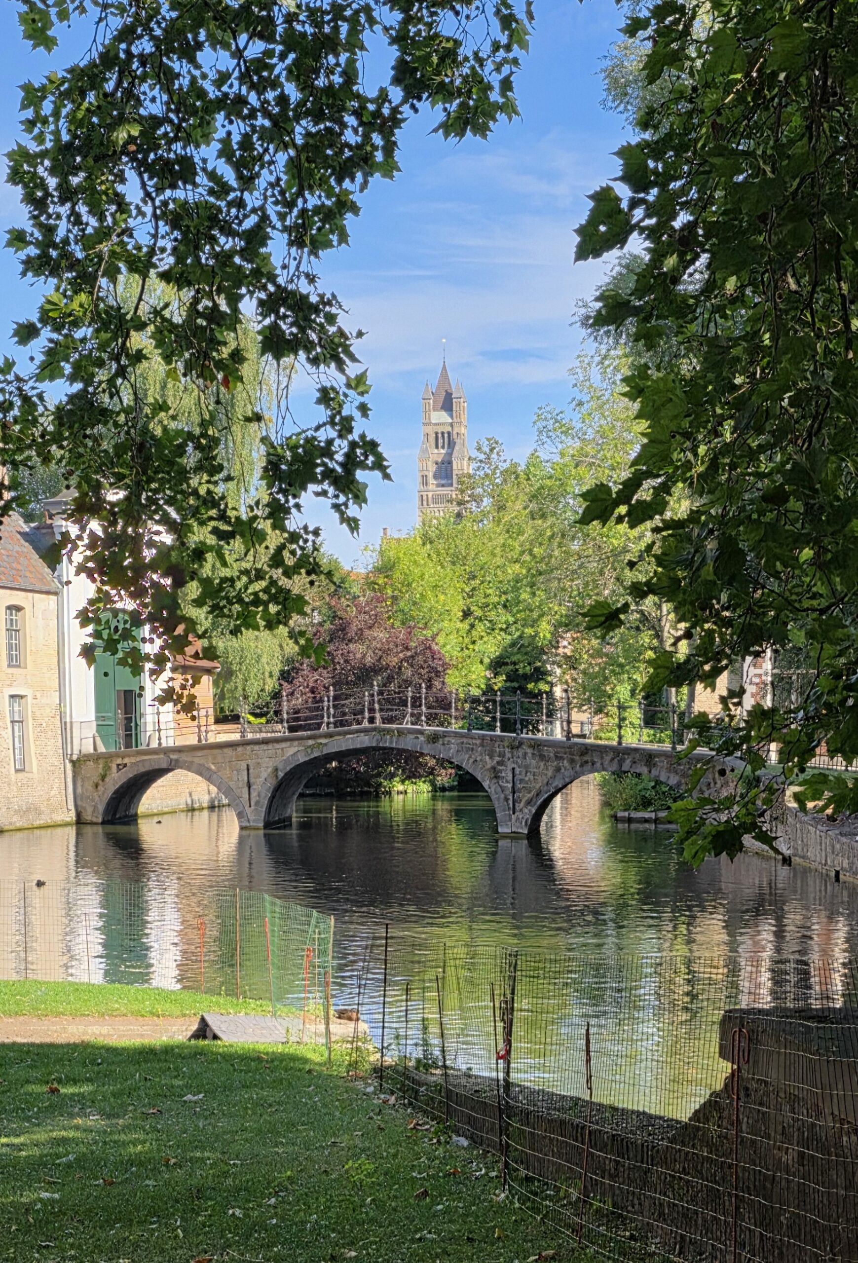 Brick church tower rising above trees beside a quiet canal in Bruges