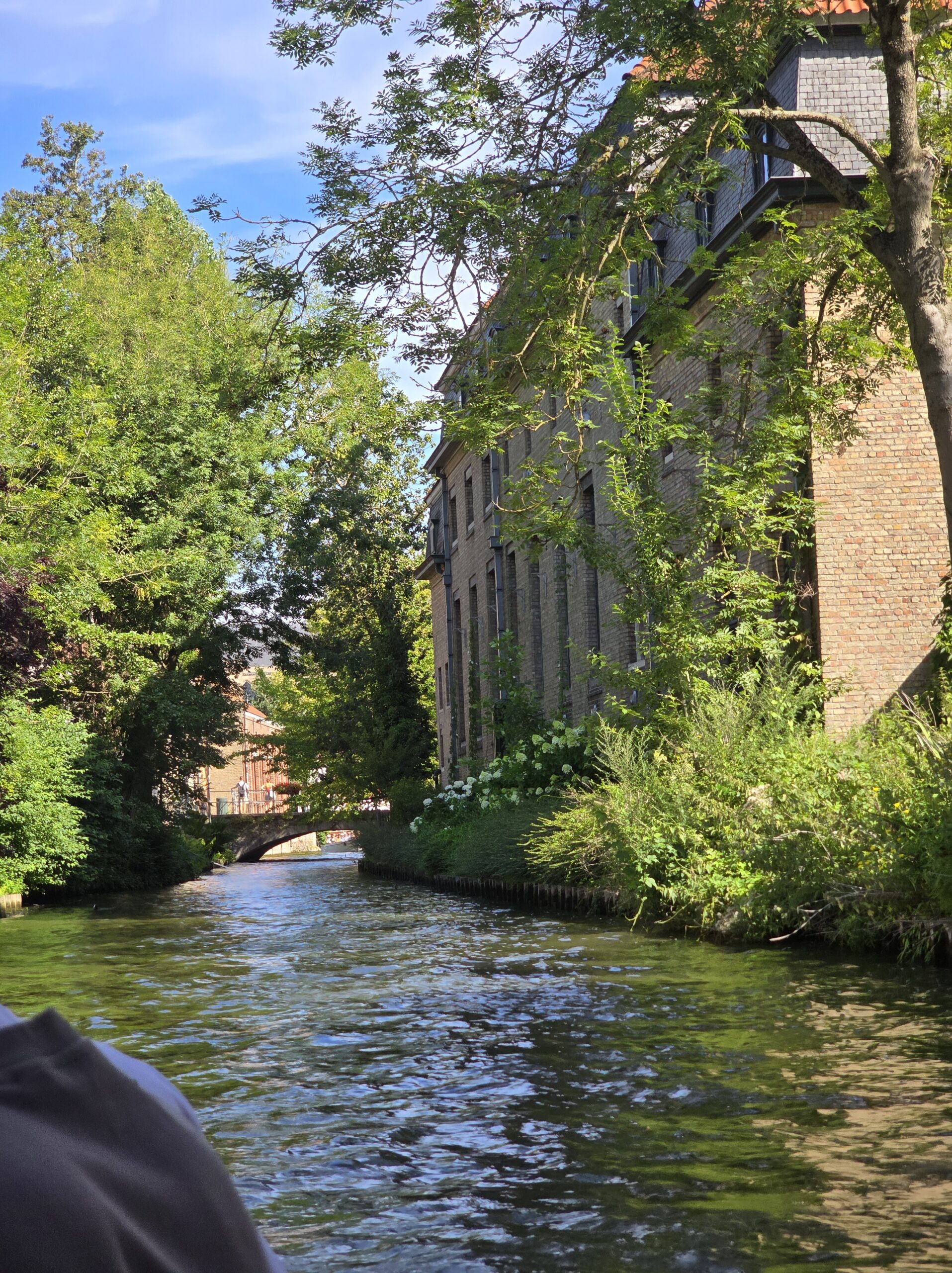 Tree-lined canal path beside old brick buildings in Bruges