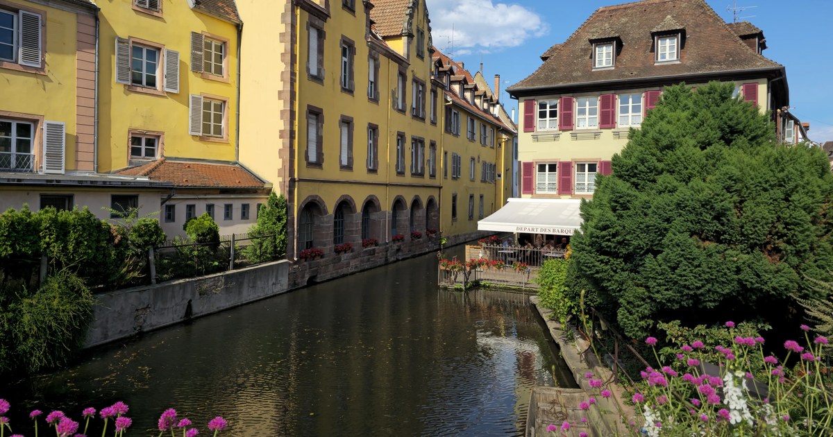 Pastel yellow half-timbered buildings along a narrow canal in Colmar, France, with a café awning at the water's edge and pink flowers in the foreground